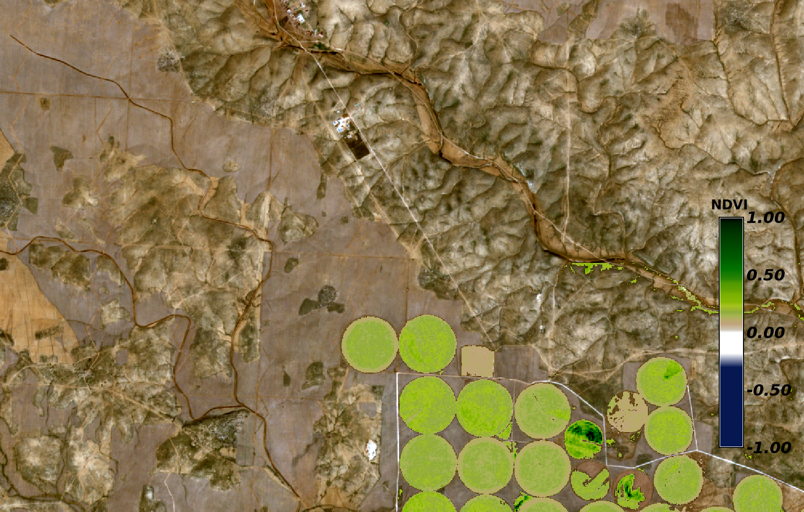 NDVI Analyse von Kreisberegnern