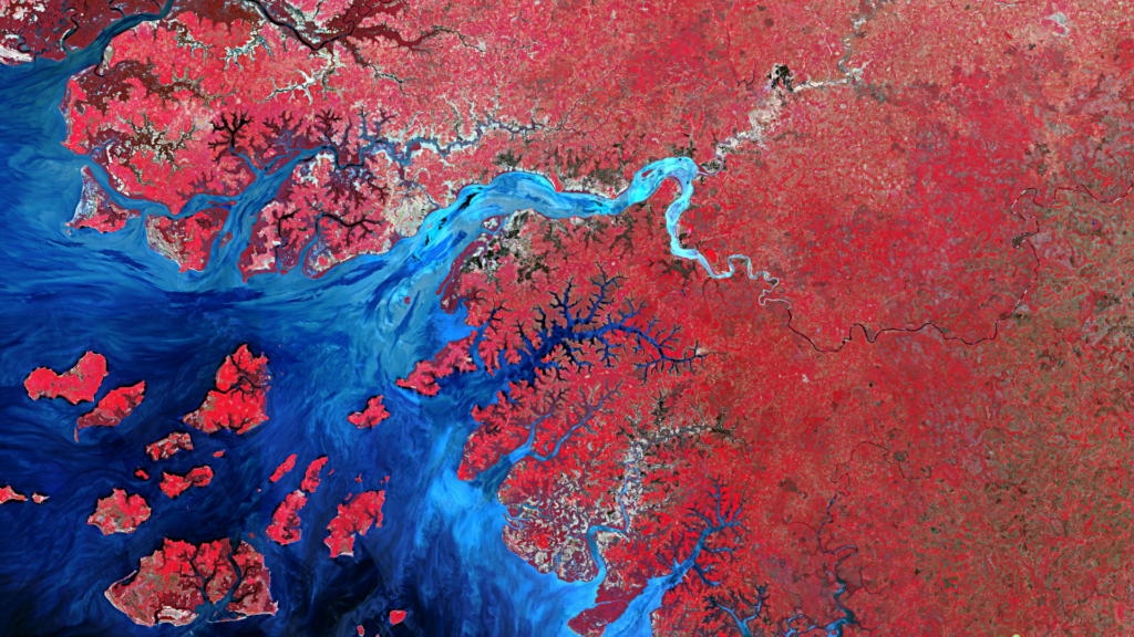 Satellitenbild des Monats Januar 2022: Küste bei Bissau (Guinea-Bissau)
