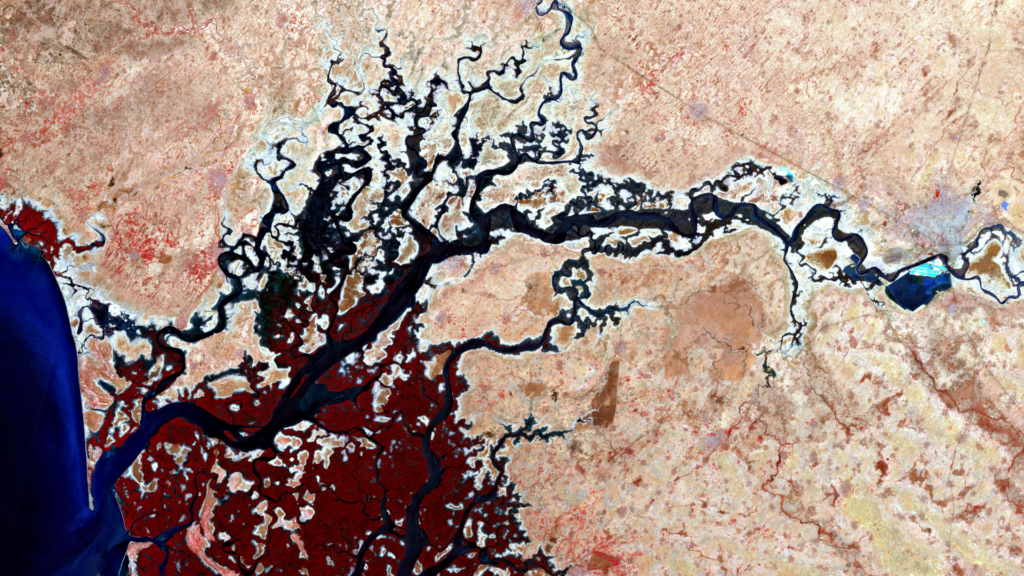 Satellitenbild des Monats Juli 2022: Nationalpark Delta du Saloum (Republik Senegal)