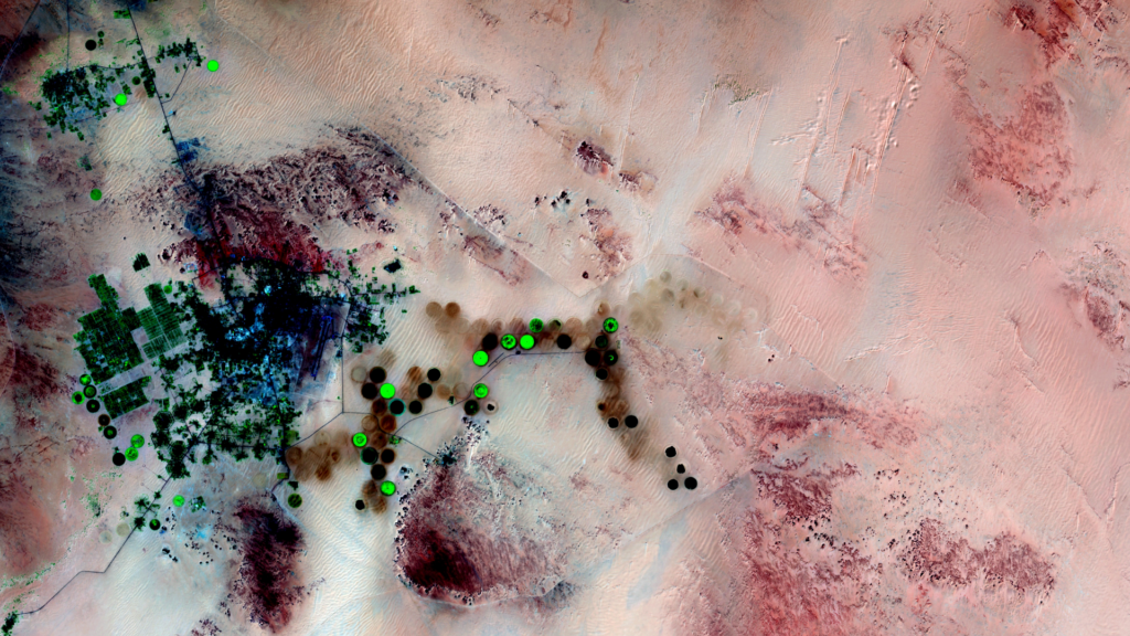 Satellitenbild des Monats November 2022: Kufra-Oasen (Libyen)