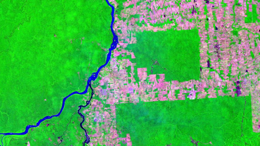 Satellitenbild des Monats Februar 2023: Amazonas-Regenwald (Brasilien und Bolivien)