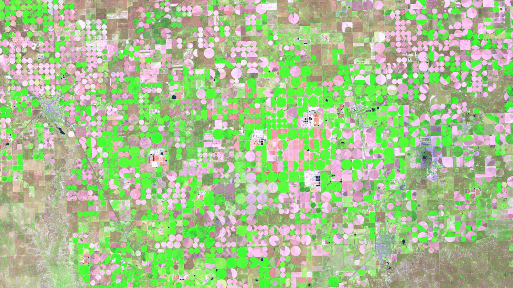 Satellitenbild des Monats Juni 2025: Dalhart (Texas, USA)
