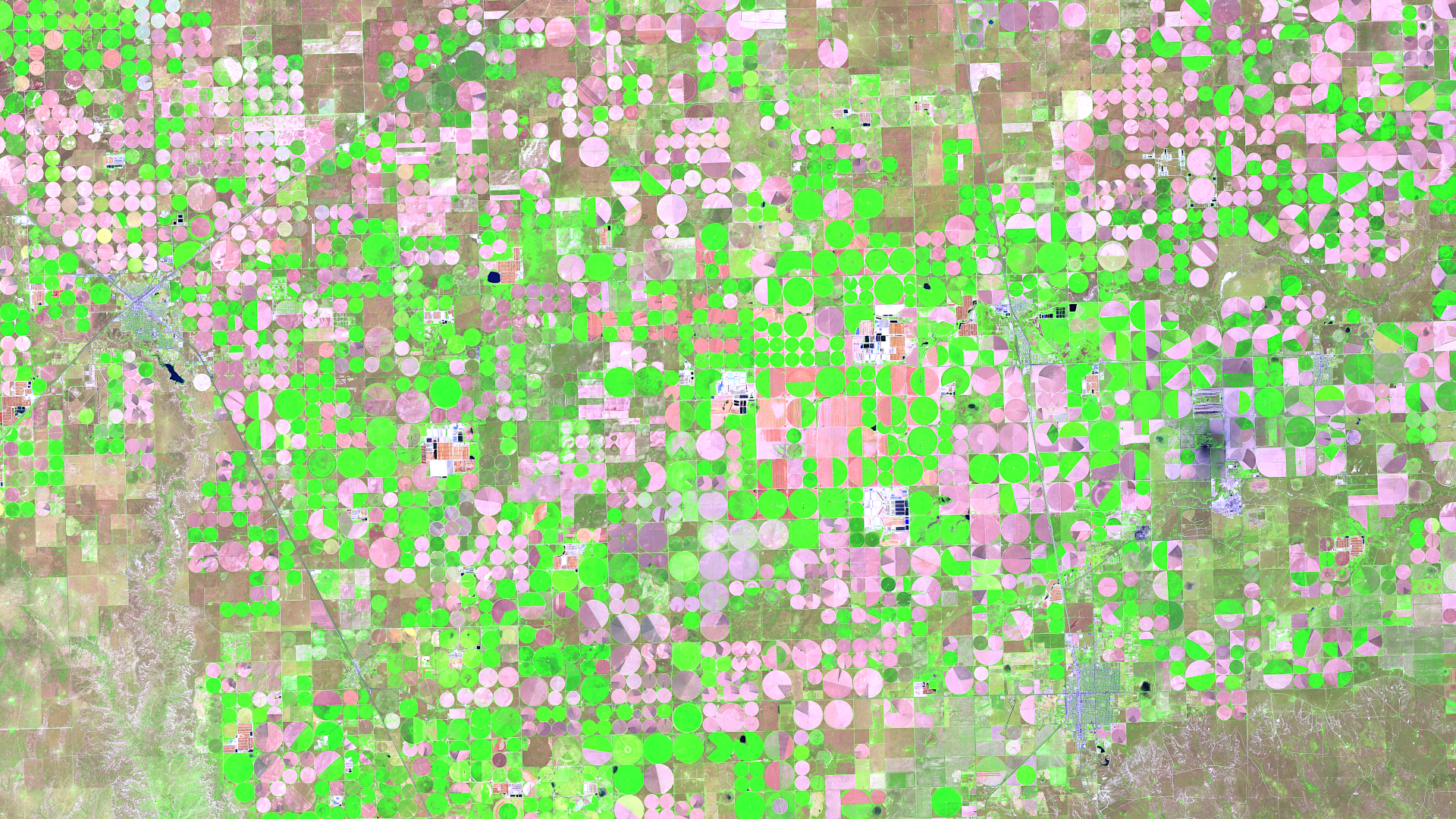 Satellitenbild des Monats Juni 2025: Dalhart (Texas, USA)